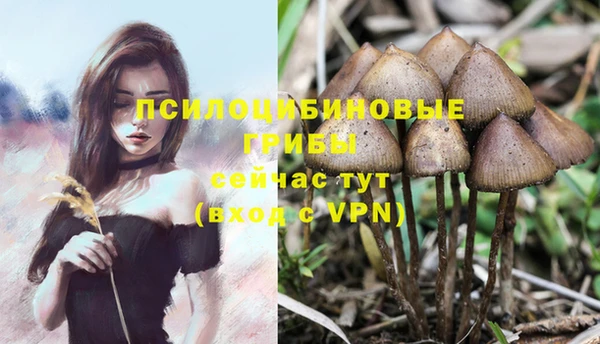 ECSTASY Карталы