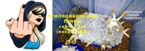 экстази Карпинск