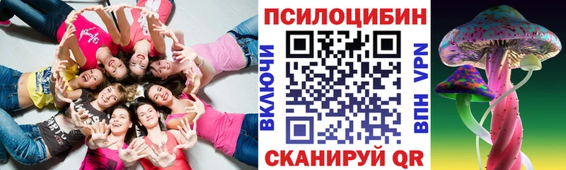 Купить  Наро-Фоминск  Галлюциногенные грибы Psilocybine cubensis 